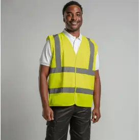 Fringilla Phasellus Faucus Scelerisque Eleifend Donec